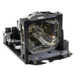 DV400 Liesegang Lamp