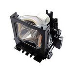 DV500 Liesegang Lamp